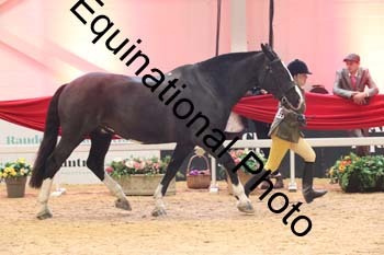 ERB-7846