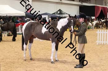 ERB-7856