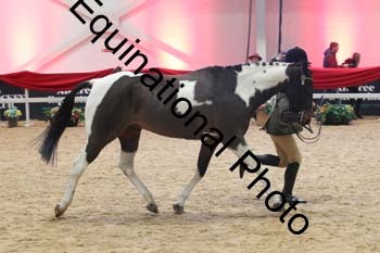 ERB-7860