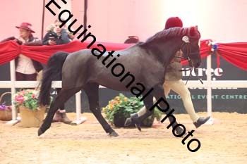 ERB-7862