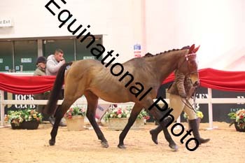ERB-7868