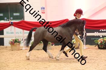 ERB-7885