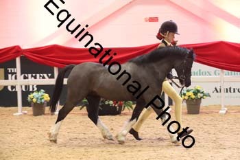 ERB-7886