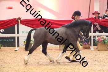 ERB-7887