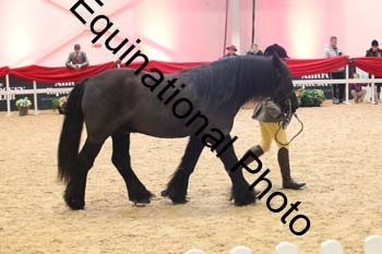 ERB-7894