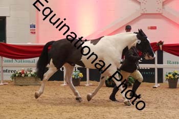 ERB-7897