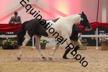 ERB-7898