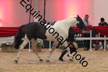 ERB-7899
