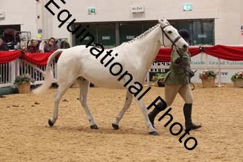 ERB-7916