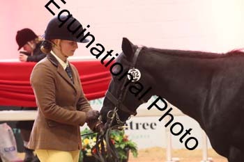 ERB-7919