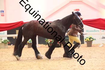 ERB-7923
