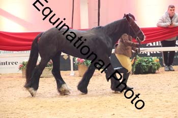 ERB-7925