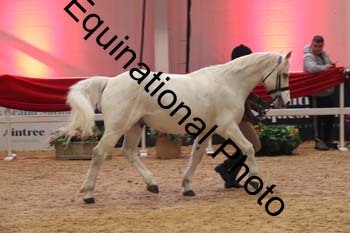 ERB-7936