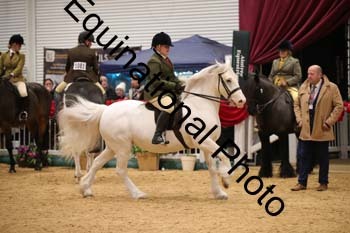 ERB-7961