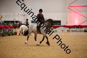 ERB-7966