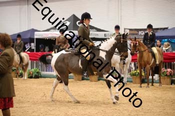 ERB-7979
