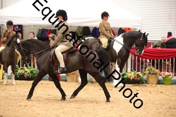 ERB-7982