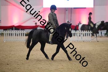 ERB-7984