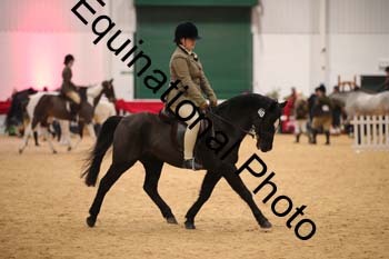ERB-7985