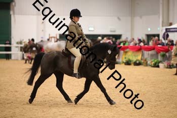 ERB-7986