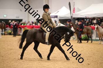 ERB-7987