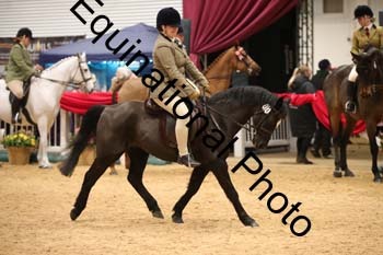 ERB-7988