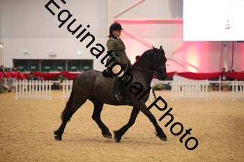 ERB-7995