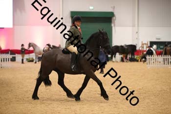 ERB-7996