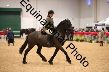 ERB-7997