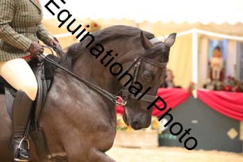 ERB-7999