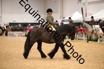 ERB-8033
