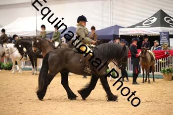 ERB-8034