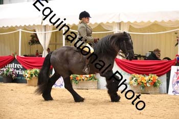 ERB-8037