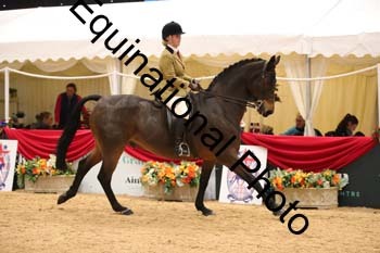 ERB-8055