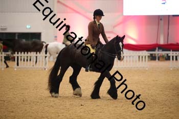 ERB-8075
