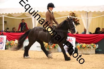 ERB-8079