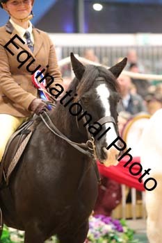 ERB-8138