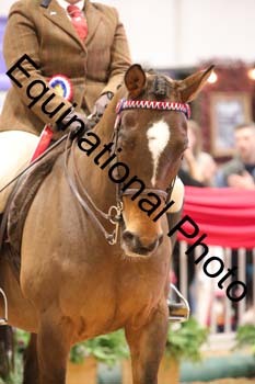 ERB-8192