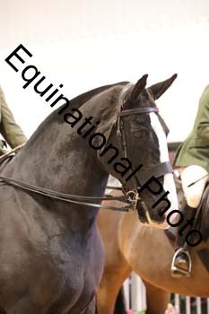 ERB-8228