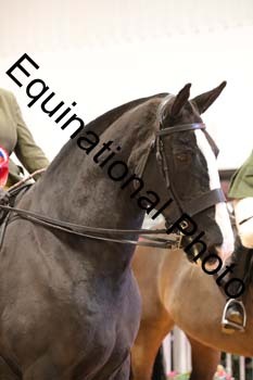 ERB-8229