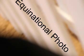 ERB-8242