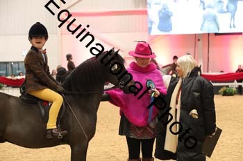 ERB-8276