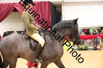 ERB-8297