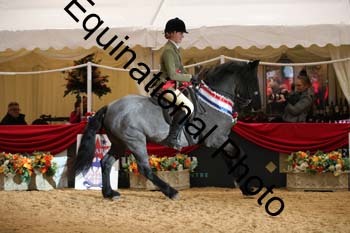 ERB-8387