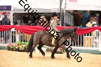 ERB-8408