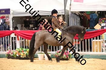 ERB-8428