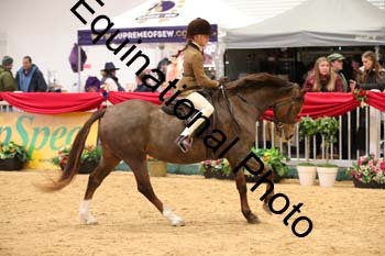 ERB-8436
