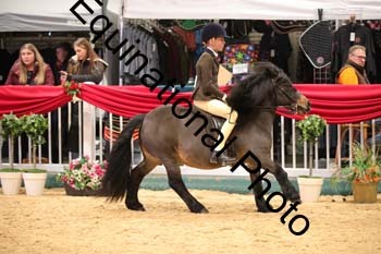 ERB-8439
