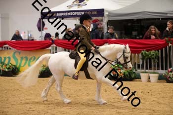 ERB-8497