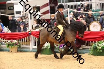 ERB-8578